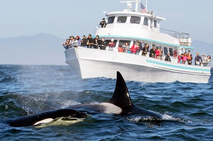 2 Days Sea Aventure to Galle and Mirissa from Colombo - Photo 1 of 6